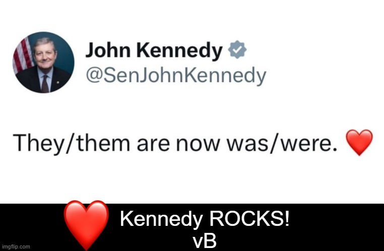 John Kennedy is always on target | Kennedy ROCKS!
vB | image tagged in political humor,john kennedy,pronouns,truth,common sense,crying democrats | made w/ Imgflip meme maker