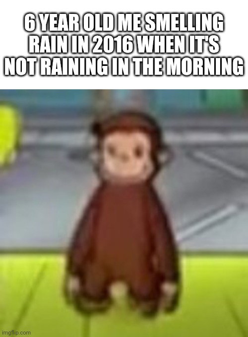 Wut | 6 YEAR OLD ME SMELLING RAIN IN 2016 WHEN IT'S NOT RAINING IN THE MORNING | image tagged in blank white template,low quality curious george | made w/ Imgflip meme maker