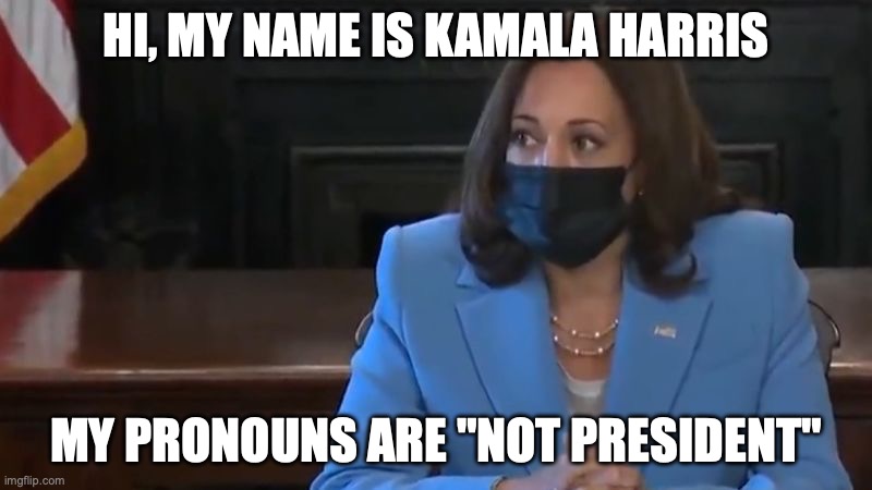 Kamas Pronouns | HI, MY NAME IS KAMALA HARRIS; MY PRONOUNS ARE "NOT PRESIDENT" | image tagged in kamala harris,pronouns,trump,donald trump | made w/ Imgflip meme maker