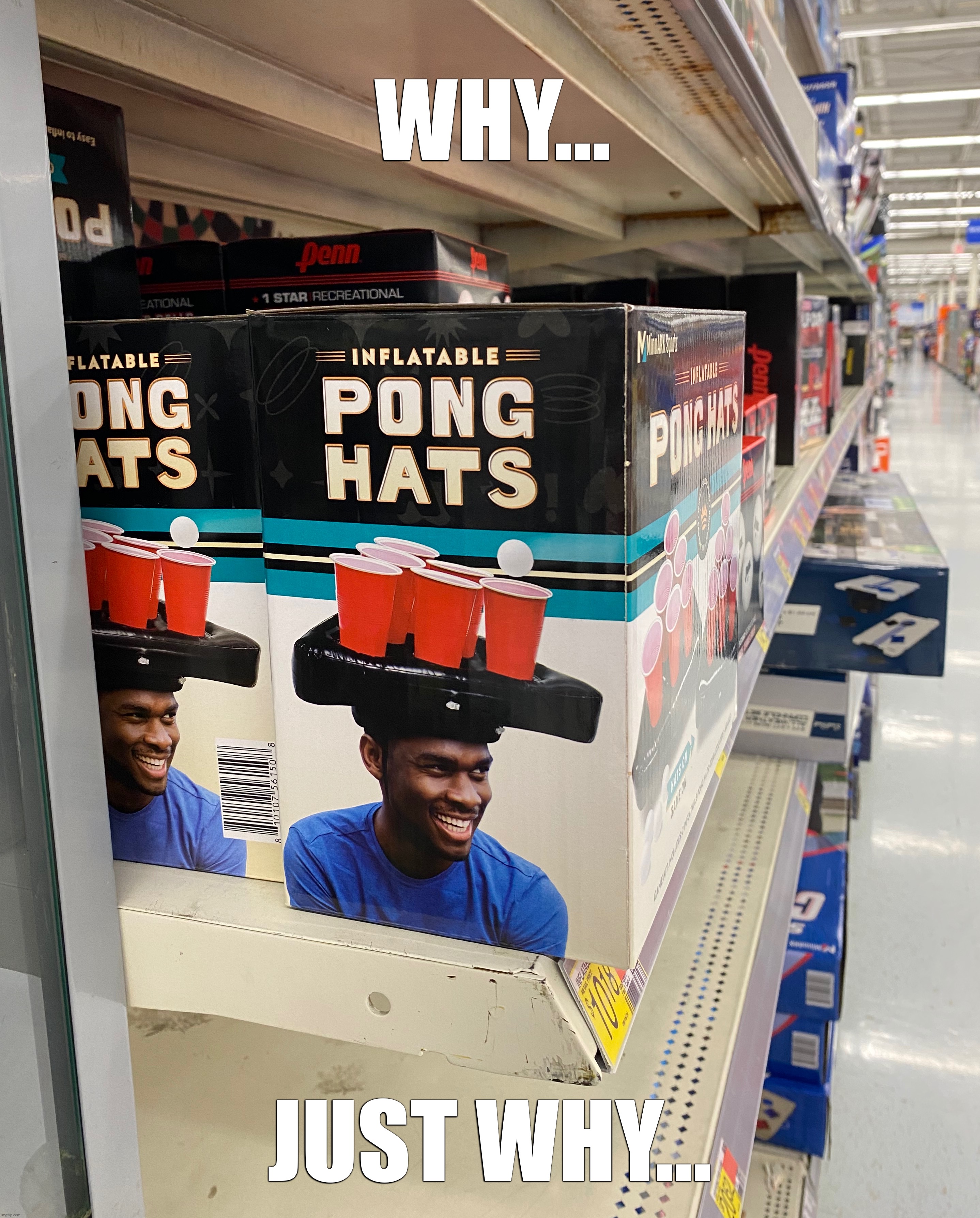 so dumb looking | WHY…; JUST WHY… | image tagged in why just why,ping pong hat,meme | made w/ Imgflip meme maker