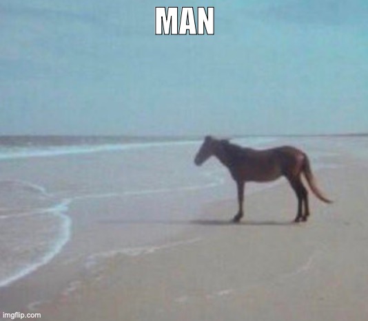 Man Horse Water | MAN | image tagged in man horse water | made w/ Imgflip meme maker