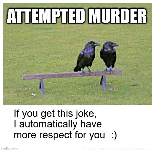 No charges filed | ATTEMPTED MURDER; If you get this joke,
I automatically have
more respect for you  :); Classic meme reworked by DJ Anomalous | image tagged in murder,crows,watching,fixed,repost | made w/ Imgflip meme maker