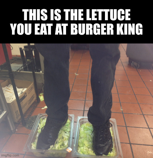 THIS IS THE LETTUCE YOU EAT AT BURGER KING | image tagged in memes,blank transparent square | made w/ Imgflip meme maker