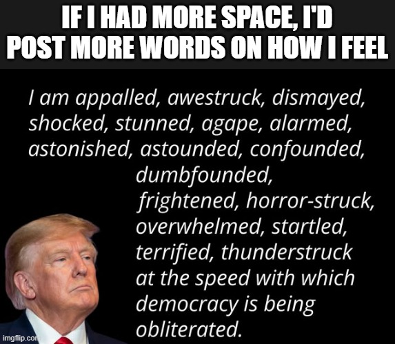 memes by Brad - Words to describe Donald Trump - humor - | IF I HAD MORE SPACE, I'D POST MORE WORDS ON HOW I FEEL | image tagged in funny,political meme,donald trump,thesaurus,words,humor | made w/ Imgflip meme maker