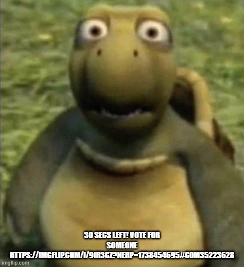 goofy ahh turtle | 30 SECS LEFT! VOTE FOR SOMEONE HTTPS://IMGFLIP.COM/I/9IR3CZ?NERP=1738454695#COM35223628 | image tagged in goofy ahh turtle | made w/ Imgflip meme maker