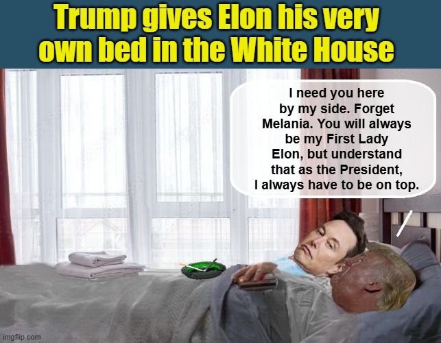 A President and his First Lady | Trump gives Elon his very own bed in the White House; I need you here by my side. Forget Melania. You will always be my First Lady Elon, but understand that as the President, I always have to be on top. | image tagged in elon musk,donald trump the clown,donald trump is an idiot,nazis | made w/ Imgflip meme maker