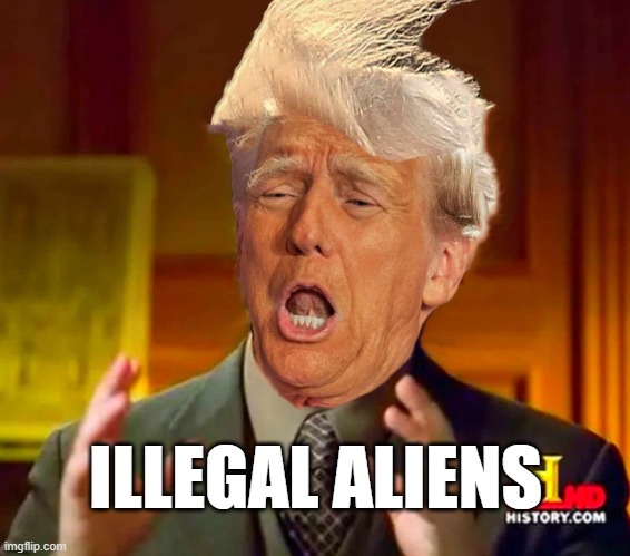 Illegal Aliens | ILLEGAL ALIENS | image tagged in donald trump,ancient aliens guy | made w/ Imgflip meme maker