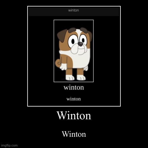 Winton | Winton | Winton | image tagged in winton | made w/ Imgflip demotivational maker