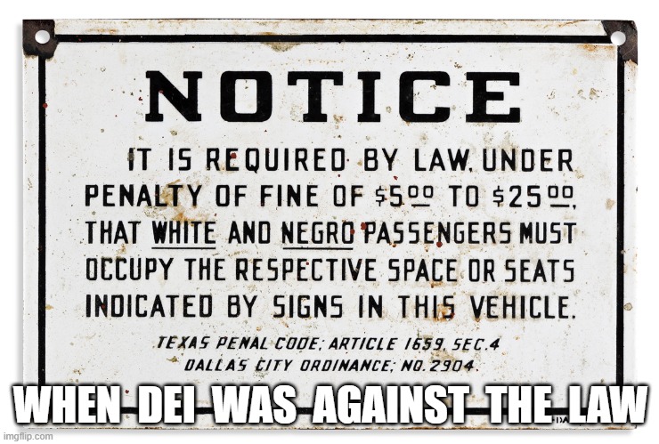 What They Really Want | WHEN  DEI  WAS  AGAINST  THE  LAW | image tagged in the good old days | made w/ Imgflip meme maker