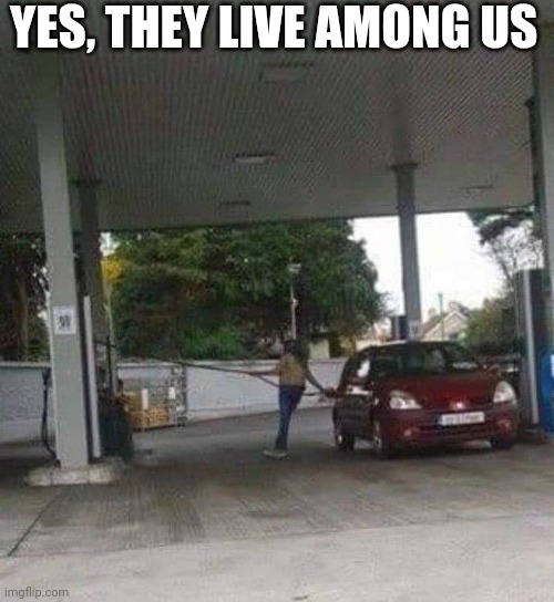 Yes, They Live Among Us | YES, THEY LIVE AMONG US | image tagged in chris joines | made w/ Imgflip meme maker