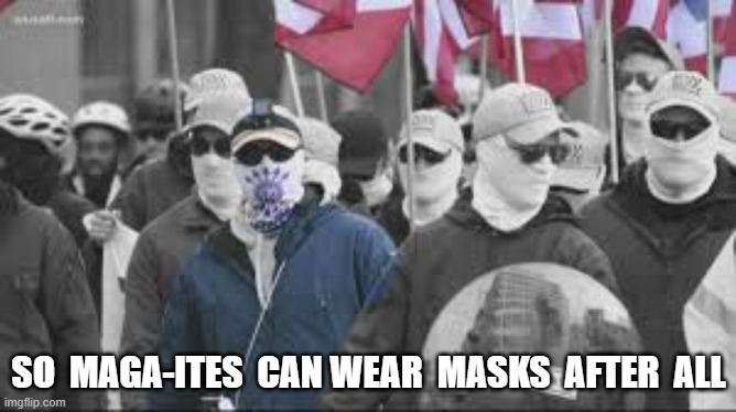Lone Rangers Together | SO  MAGA-ITES  CAN WEAR  MASKS  AFTER  ALL | image tagged in facemask | made w/ Imgflip meme maker