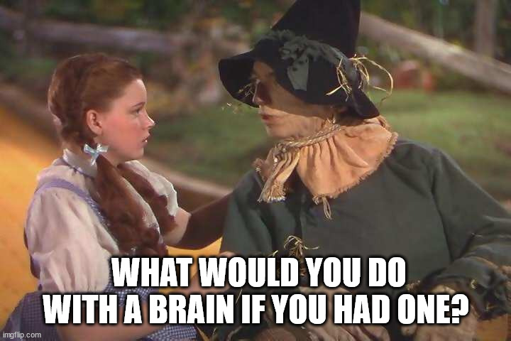 WHAT WOULD YOU DO WITH A BRAIN IF YOU HAD ONE? | made w/ Imgflip meme maker