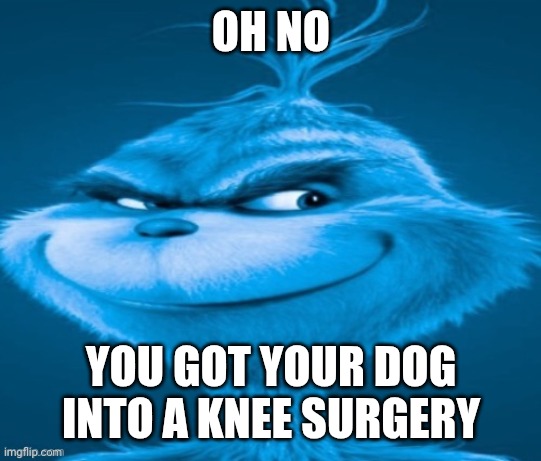 knee surgery | OH NO YOU GOT YOUR DOG INTO A KNEE SURGERY | image tagged in knee surgery | made w/ Imgflip meme maker