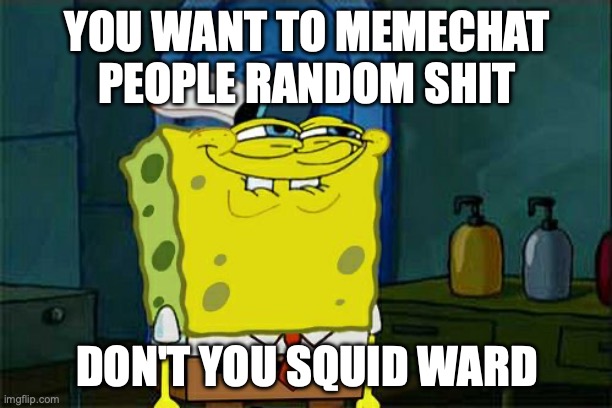 Don't You Squidward Meme | YOU WANT TO MEMECHAT PEOPLE RANDOM SHIT DON'T YOU SQUID WARD | image tagged in memes,don't you squidward | made w/ Imgflip meme maker