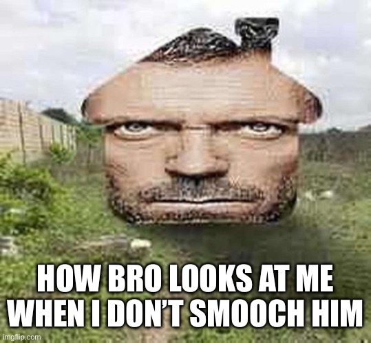 How bro looks at me | HOW BRO LOOKS AT ME WHEN I DON’T SMOOCH HIM | image tagged in dr house | made w/ Imgflip meme maker