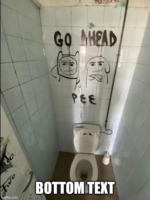 Go ahead pee ? | BOTTOM TEXT | image tagged in toilet,memes | made w/ Imgflip meme maker