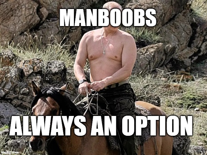 Putin's manboobs | MANBOOBS ALWAYS AN OPTION | image tagged in putin's manboobs | made w/ Imgflip meme maker