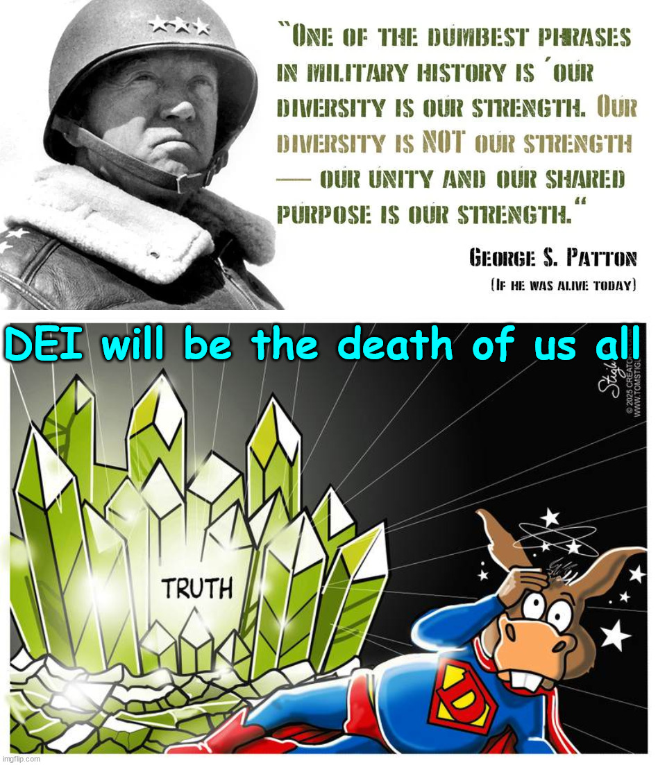 DEI will be the death of us all | DEI will be the death of us all | image tagged in dei,killing americans | made w/ Imgflip meme maker