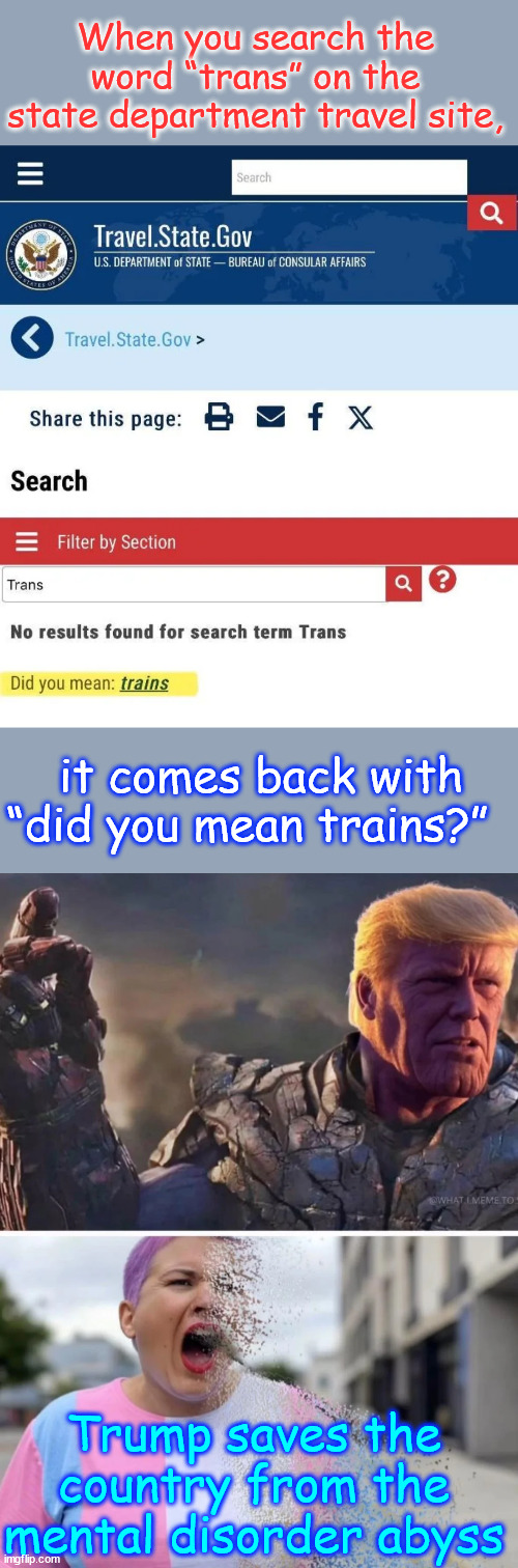 Trump saves the country from the mental disorder abyss | When you search the word “trans” on the state department travel site, it comes back with “did you mean trains?”; Trump saves the country from the mental disorder abyss | image tagged in restoring,america,to normalcy,cure mental disorders | made w/ Imgflip meme maker