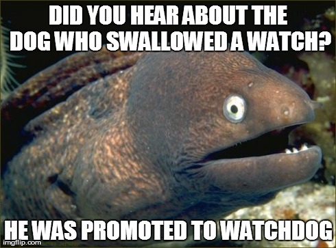 Bad Joke Eel Meme | DID YOU HEAR ABOUT THE DOG WHO SWALLOWED A WATCH? HE WAS PROMOTED TO WATCHDOG | image tagged in memes,bad joke eel | made w/ Imgflip meme maker