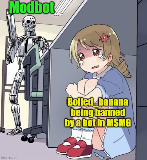 It was RIGHT after I said "imagine getting banned by Modbot" LOL (comment banned) | Modbot; Boiled_banana being banned by a bot in MSMG | image tagged in anime girl hiding from terminator | made w/ Imgflip meme maker