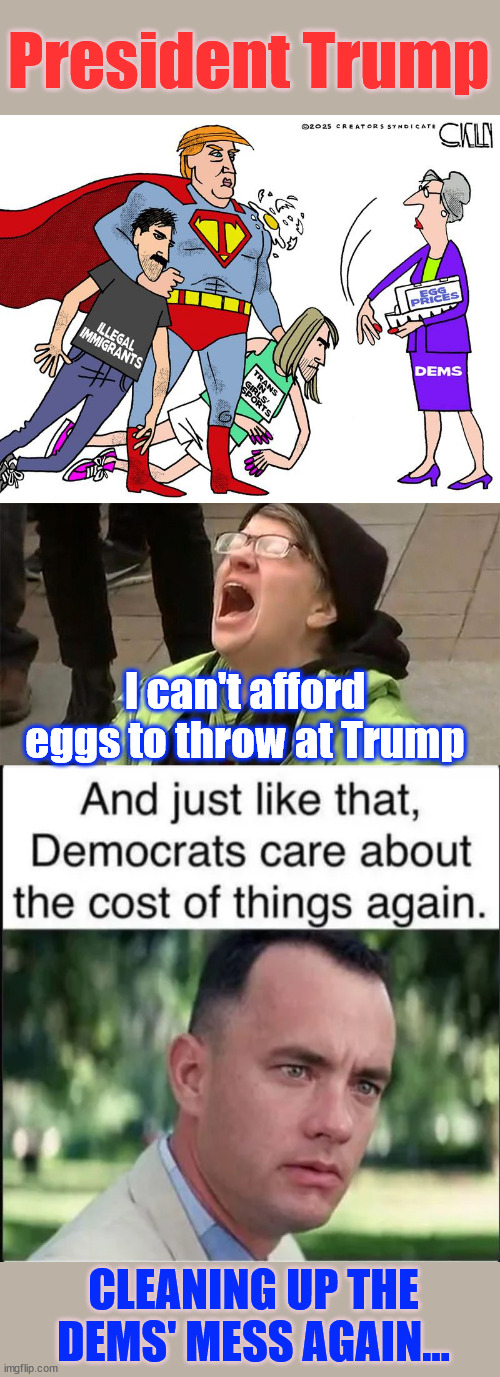 President Trump, cleaning up the dems' mess... again | President Trump; I can't afford eggs to throw at Trump; CLEANING UP THE DEMS' MESS AGAIN... | image tagged in crying liberal,president trump,clean up after the dems,again | made w/ Imgflip meme maker