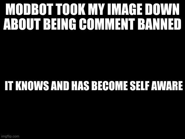 it took it down for the same reason | MODBOT TOOK MY IMAGE DOWN ABOUT BEING COMMENT BANNED; IT KNOWS AND HAS BECOME SELF AWARE | made w/ Imgflip meme maker