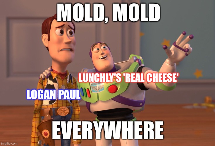 Lunchly be like: | MOLD, MOLD; LUNCHLY'S 'REAL CHEESE'; LOGAN PAUL; EVERYWHERE | image tagged in memes,x x everywhere,funny | made w/ Imgflip meme maker