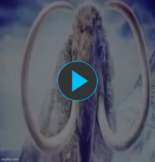 image tagged in gifs,memes | made w/ Imgflip meme maker