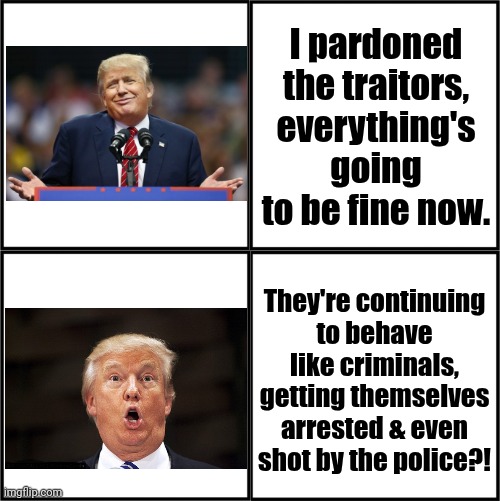 "The leopard will never change its spots." - an African proverb | I pardoned the traitors, everything's going to be fine now. They're continuing
to behave
like criminals, getting themselves arrested & even shot by the police?! | image tagged in 4 squares blank comic template,president trump,what could go wrong,i did nazi that coming,outlaws | made w/ Imgflip meme maker