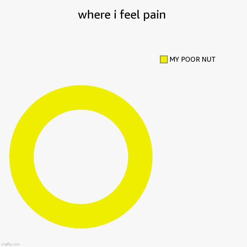 pain | where i feel pain | MY POOR NUT | image tagged in charts,donut charts | made w/ Imgflip chart maker