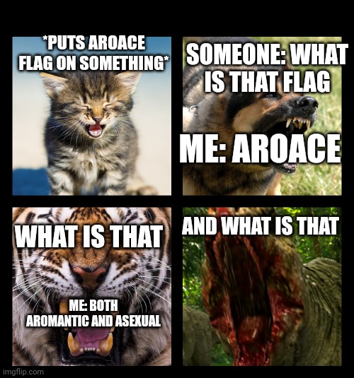 4 Levels Of Hurt (not physical) | SOMEONE: WHAT IS THAT FLAG; *PUTS AROACE FLAG ON SOMETHING*; ME: AROACE; WHAT IS THAT; AND WHAT IS THAT; ME: BOTH AROMANTIC AND ASEXUAL | image tagged in 4 levels of hurt | made w/ Imgflip meme maker