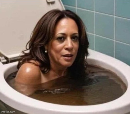 Kamala Harris Poop in Toilet | image tagged in kamala harris poop in toilet | made w/ Imgflip meme maker