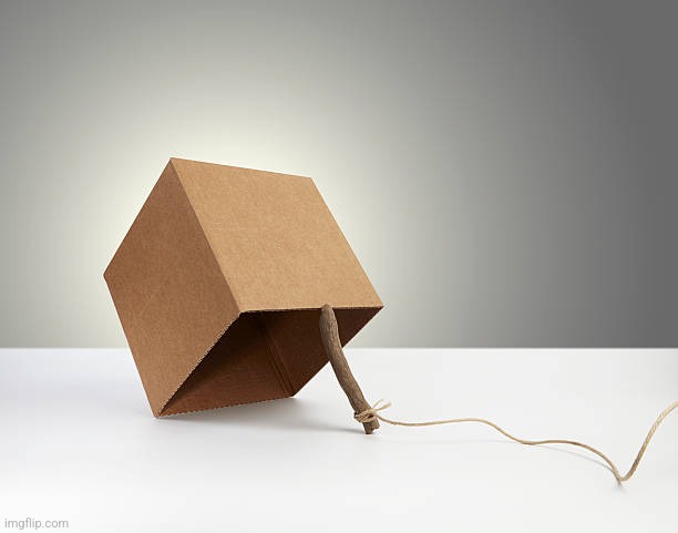 Box trap | image tagged in box trap | made w/ Imgflip meme maker