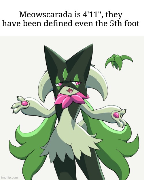 Meowscarada is 4'11", they have been defined even the 5th foot | image tagged in meowscarada | made w/ Imgflip meme maker