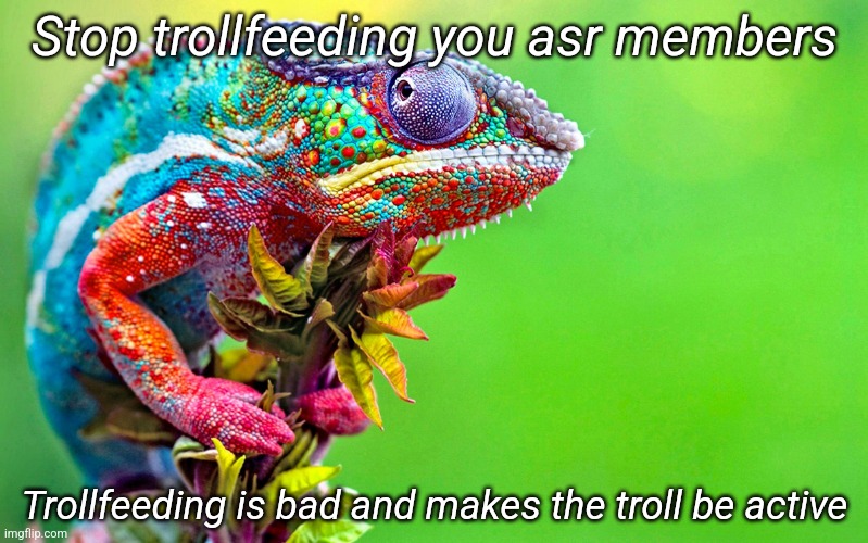 Chameleon  | Stop trollfeeding you asr members; Trollfeeding is bad and makes the troll be active | image tagged in chameleon | made w/ Imgflip meme maker