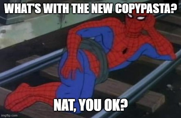 spooderman | WHAT'S WITH THE NEW COPYPASTA? NAT, YOU OK? | image tagged in spiderman | made w/ Imgflip meme maker