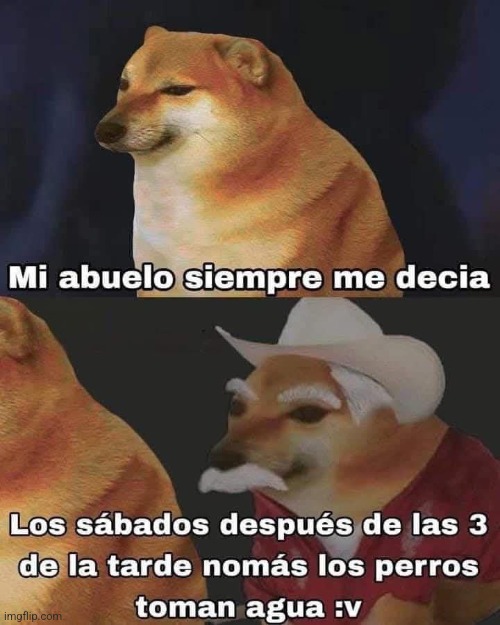 9irtzf.jpg