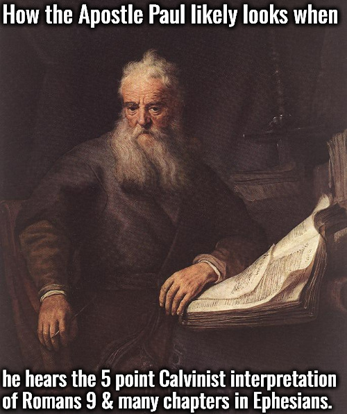 How The Apostle Paul Looks | How the Apostle Paul likely looks when; he hears the 5 point Calvinist interpretation of Romans 9 & many chapters in Ephesians. | image tagged in apostle paul,calvinism,arminian,molinism,ai marionette divine muppet robot corpse dogma,asinine divisive and wrong | made w/ Imgflip meme maker