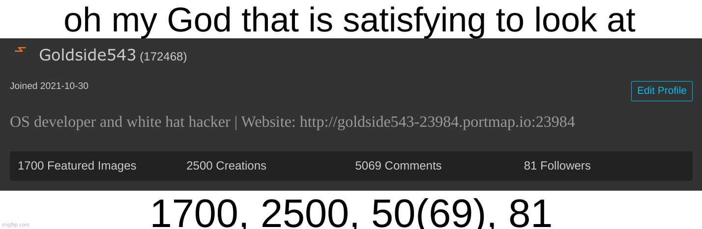oh my God that is satisfying to look at; 1700, 2500, 50(69), 81 | made w/ Imgflip meme maker