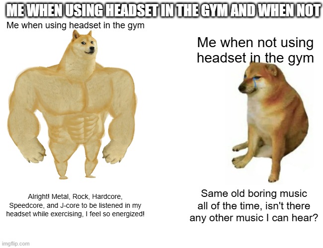 Me when using headset in the gym and when not | ME WHEN USING HEADSET IN THE GYM AND WHEN NOT; Me when using headset in the gym; Me when not using headset in the gym; Alright! Metal, Rock, Hardcore, Speedcore, and J-core to be listened in my headset while exercising, I feel so energized! Same old boring music all of the time, isn't there any other music I can hear? | image tagged in memes,buff doge vs cheems | made w/ Imgflip meme maker