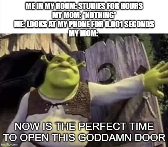 Shrek opens the door | ME IN MY ROOM: STUDIES FOR HOURS
MY MOM: *NOTHING*
ME: LOOKS AT MY PHONE FOR 0.001 SECONDS
MY MOM:; NOW IS THE PERFECT TIME TO OPEN THIS GODDAMN DOOR | image tagged in shrek opens the door | made w/ Imgflip meme maker
