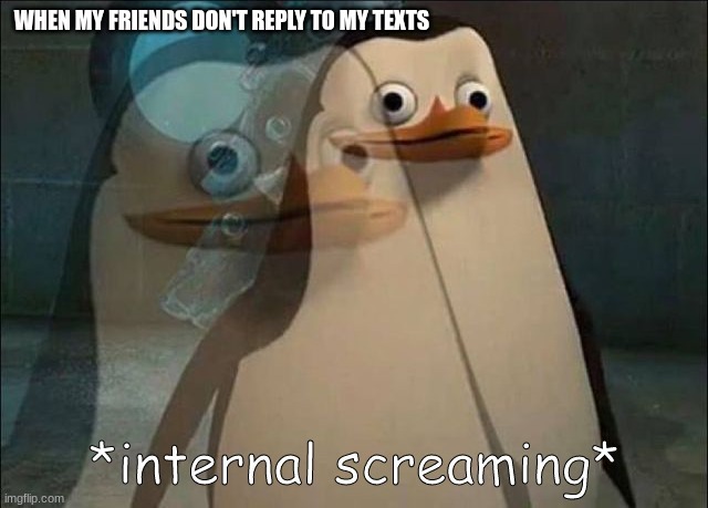 why | WHEN MY FRIENDS DON'T REPLY TO MY TEXTS | image tagged in private internal screaming | made w/ Imgflip meme maker