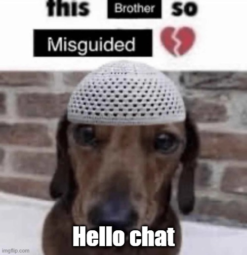 This brother so misguided | Hello chat | image tagged in this brother so misguided | made w/ Imgflip meme maker
