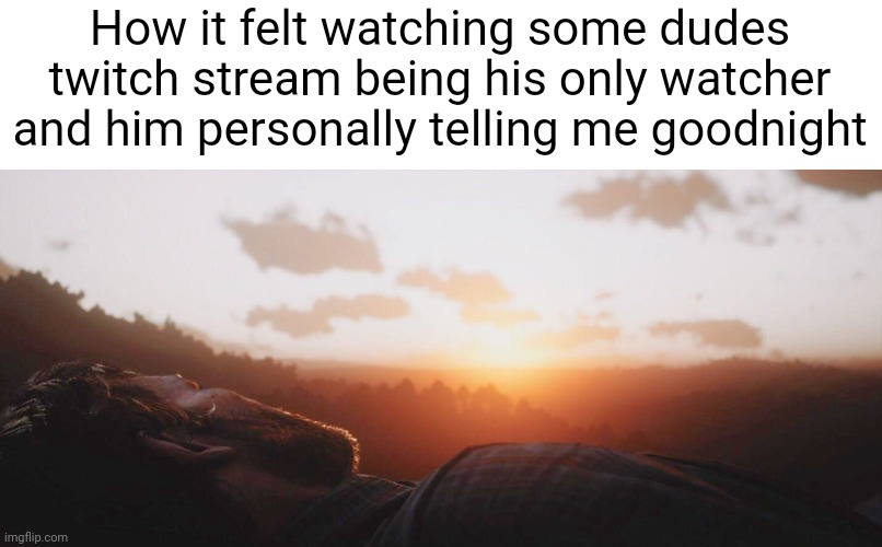 He was playing skyrim | How it felt watching some dudes twitch stream being his only watcher and him personally telling me goodnight | made w/ Imgflip meme maker