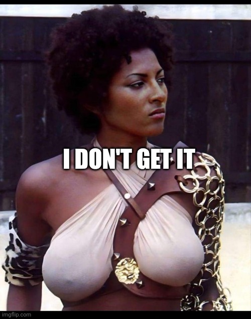 Pam Grier | I DON'T GET IT | image tagged in pam grier | made w/ Imgflip meme maker