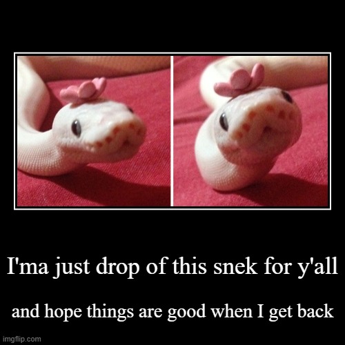 flower power snek | I'ma just drop of this snek for y'all | and hope things are good when I get back | image tagged in funny,demotivationals,snek,cute,flowers,snake | made w/ Imgflip demotivational maker