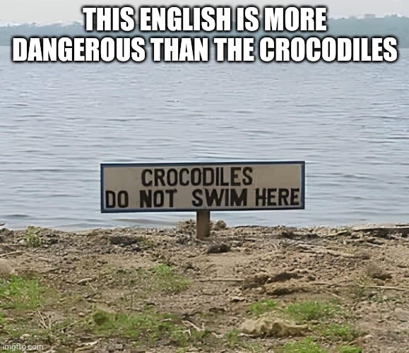 swim here | THIS ENGLISH IS MORE DANGEROUS THAN THE CROCODILES | image tagged in crocodile | made w/ Imgflip meme maker