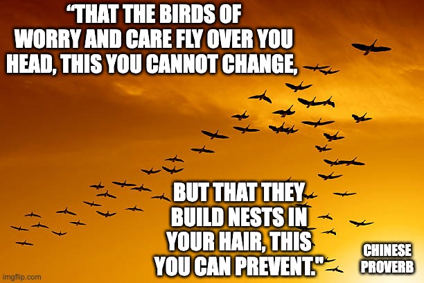 Don't Worry | “THAT THE BIRDS OF WORRY AND CARE FLY OVER YOU HEAD, THIS YOU CANNOT CHANGE, BUT THAT THEY BUILD NESTS IN YOUR HAIR, THIS YOU CAN PREVENT."; CHINESE PROVERB | image tagged in worry,stress | made w/ Imgflip meme maker