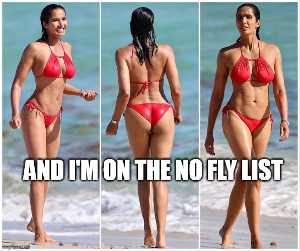 AND I'M ON THE NO FLY LIST | made w/ Imgflip meme maker